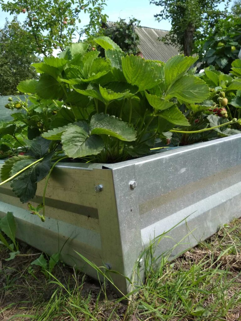 Дверь